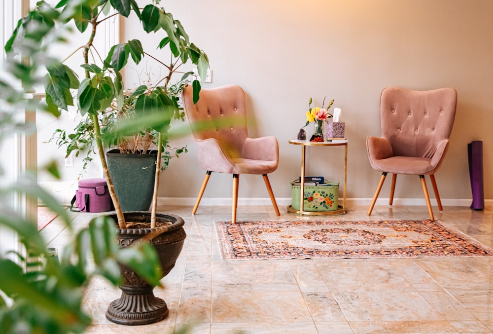 green potted plant on brown wooden table