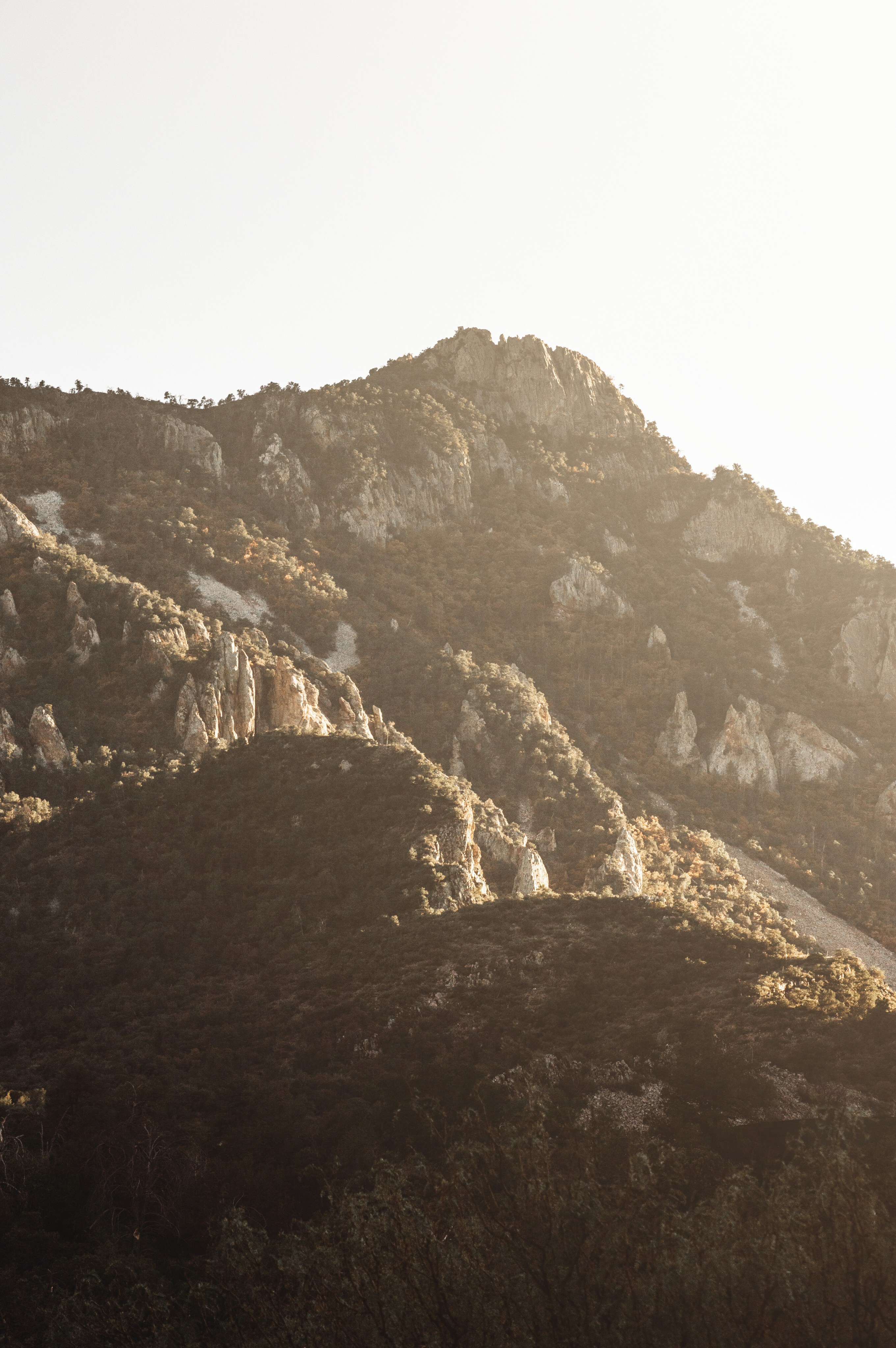 Photo by thedandygandy