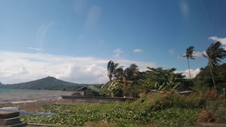A tropical landscape with swaying palm trees and lush greenery. A small, rustic building with a green roof is situated near the shoreline, with calm waters and a distant hill in the background. The sky is mostly clear with a few scattered clouds.