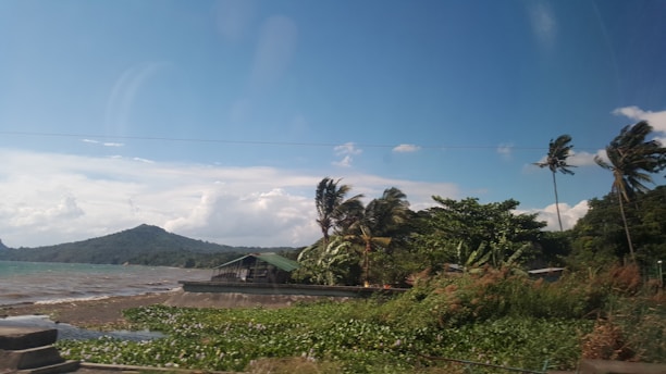 A tropical landscape with swaying palm trees and lush greenery. A small, rustic building with a green roof is situated near the shoreline, with calm waters and a distant hill in the background. The sky is mostly clear with a few scattered clouds.
