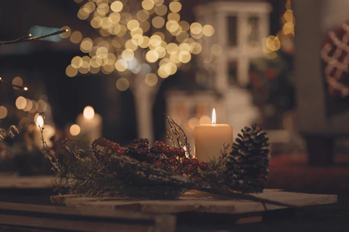 Spruce forest candle