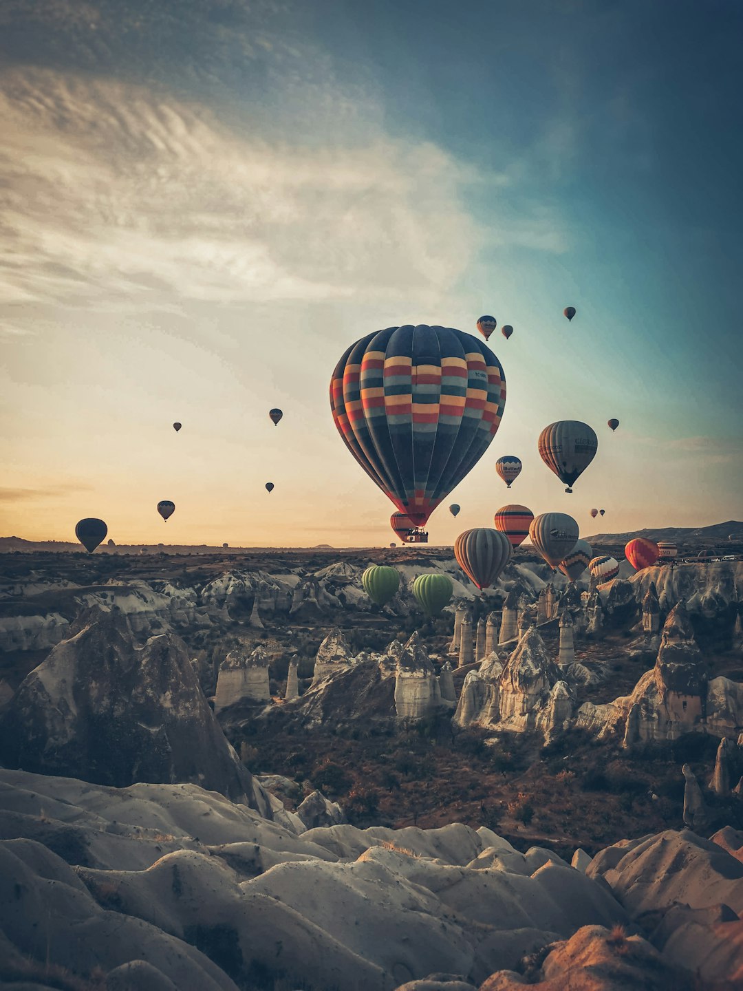 hot air balloons in the sky