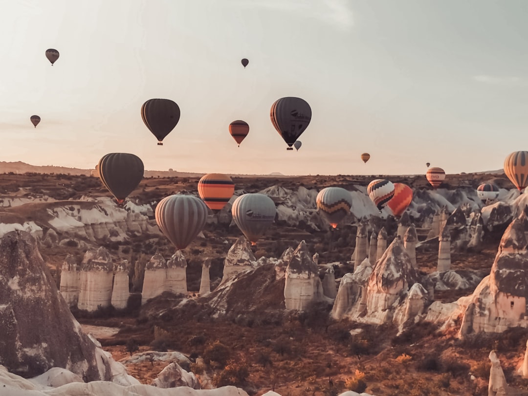 hot air balloons on air during daytime