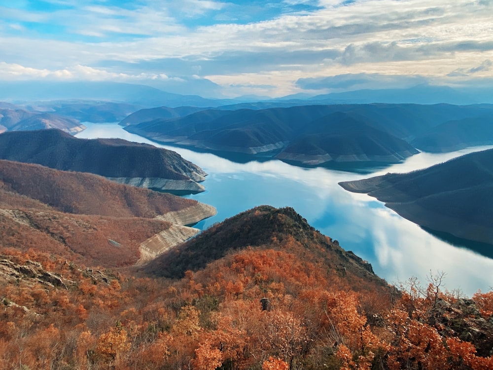 alberi marroni e verdi vicino al lago sotto nuvole bianche e cielo blu durante il giorno