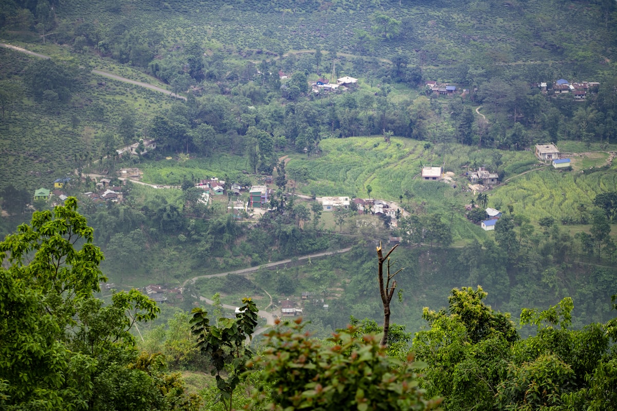 Mountain road from Dehradun towards Char Dham route