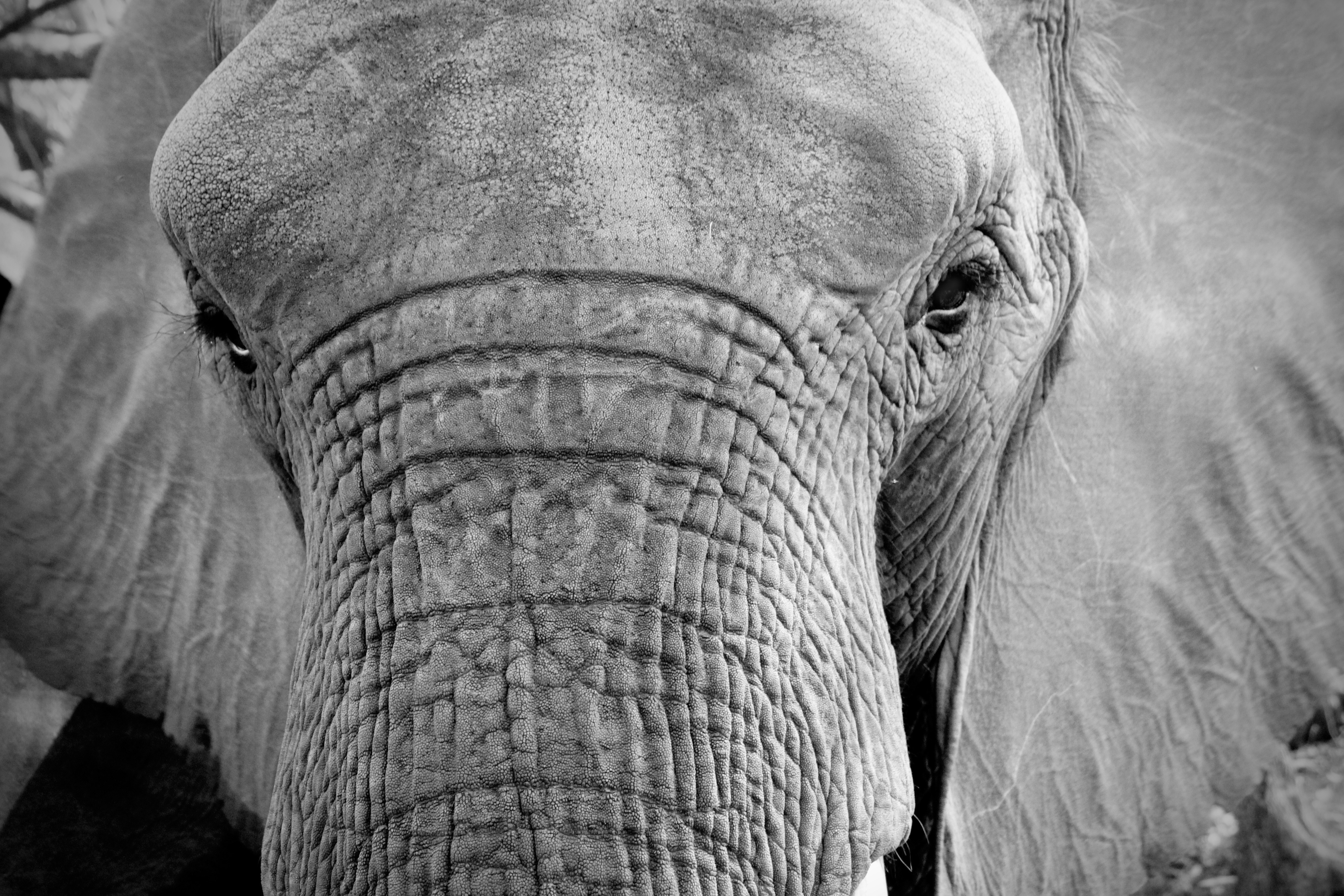 Photo by kajareichardtphotos