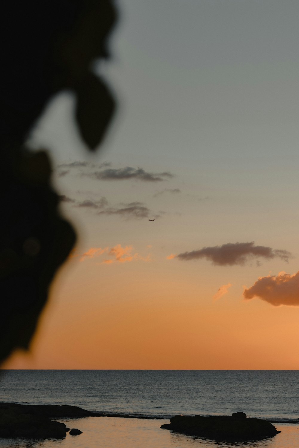 silhouette of person during sunset
