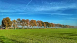 Volunteers planting trees on a crisp autumn morning