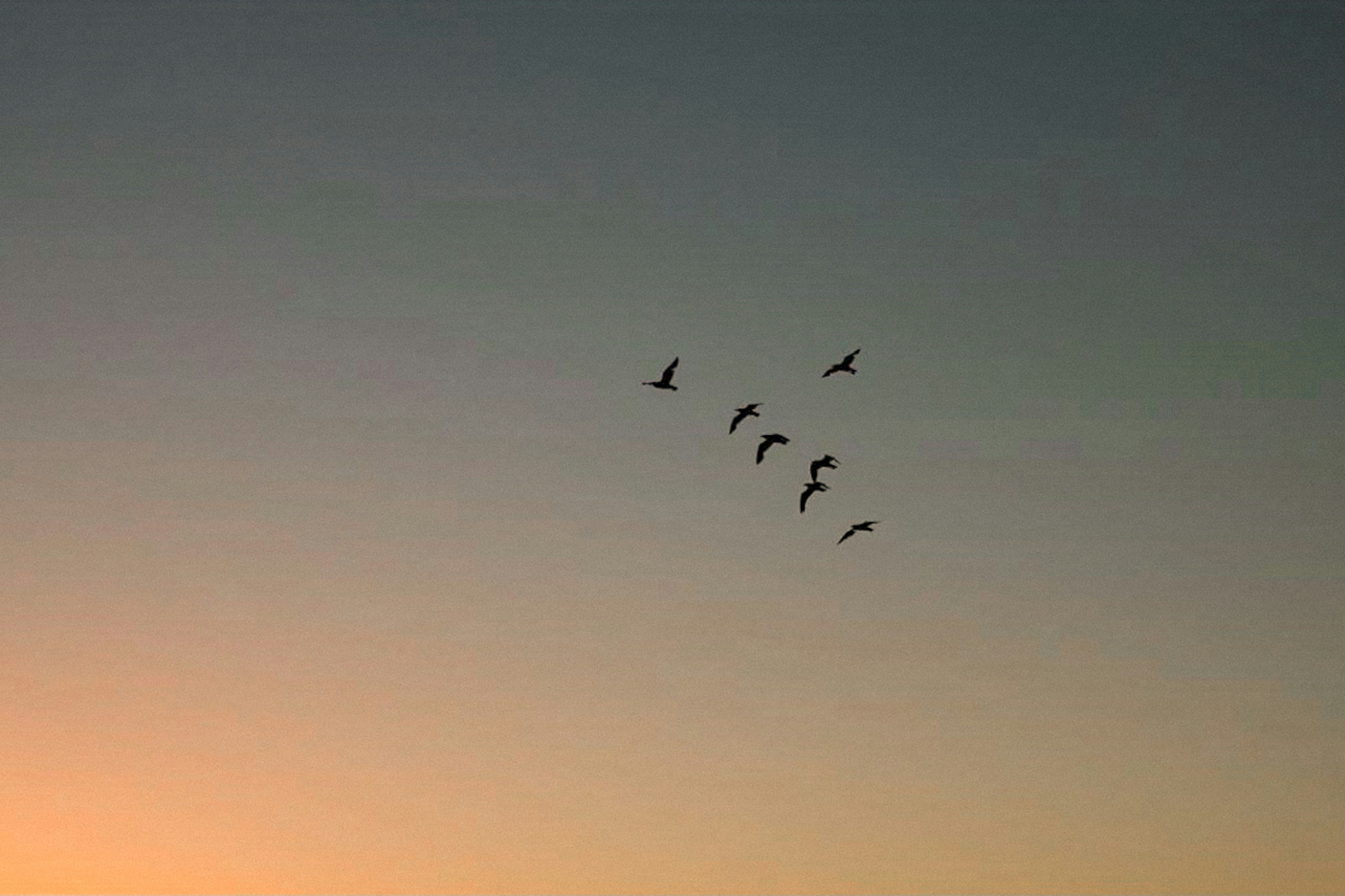 Photo by kajareichardtphotos