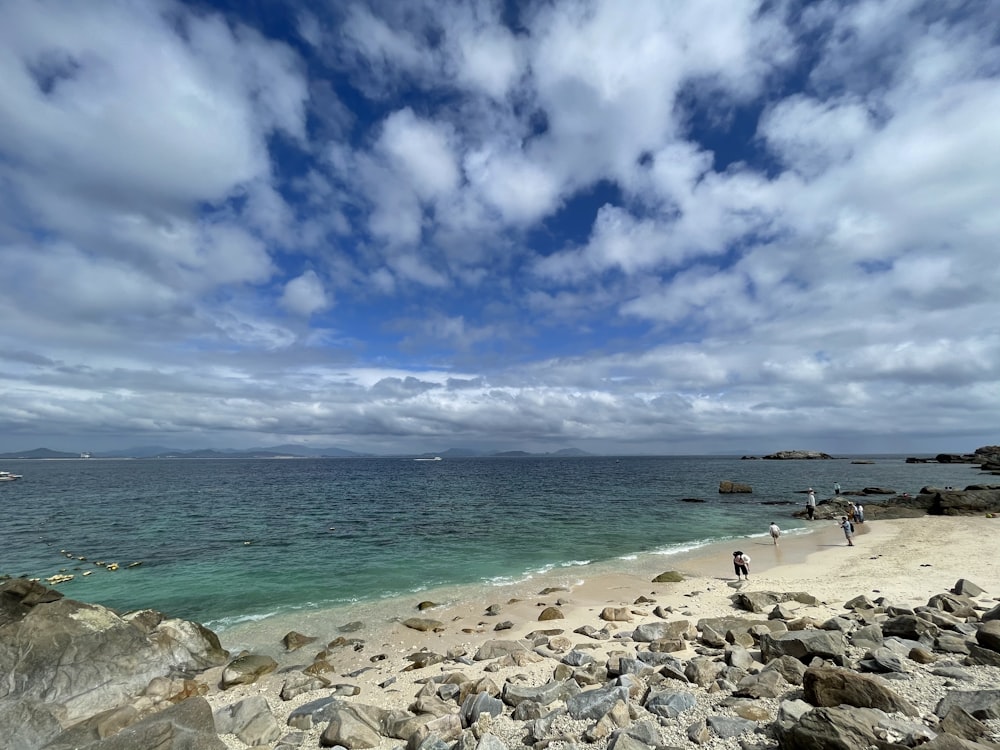 people on beach during daytime