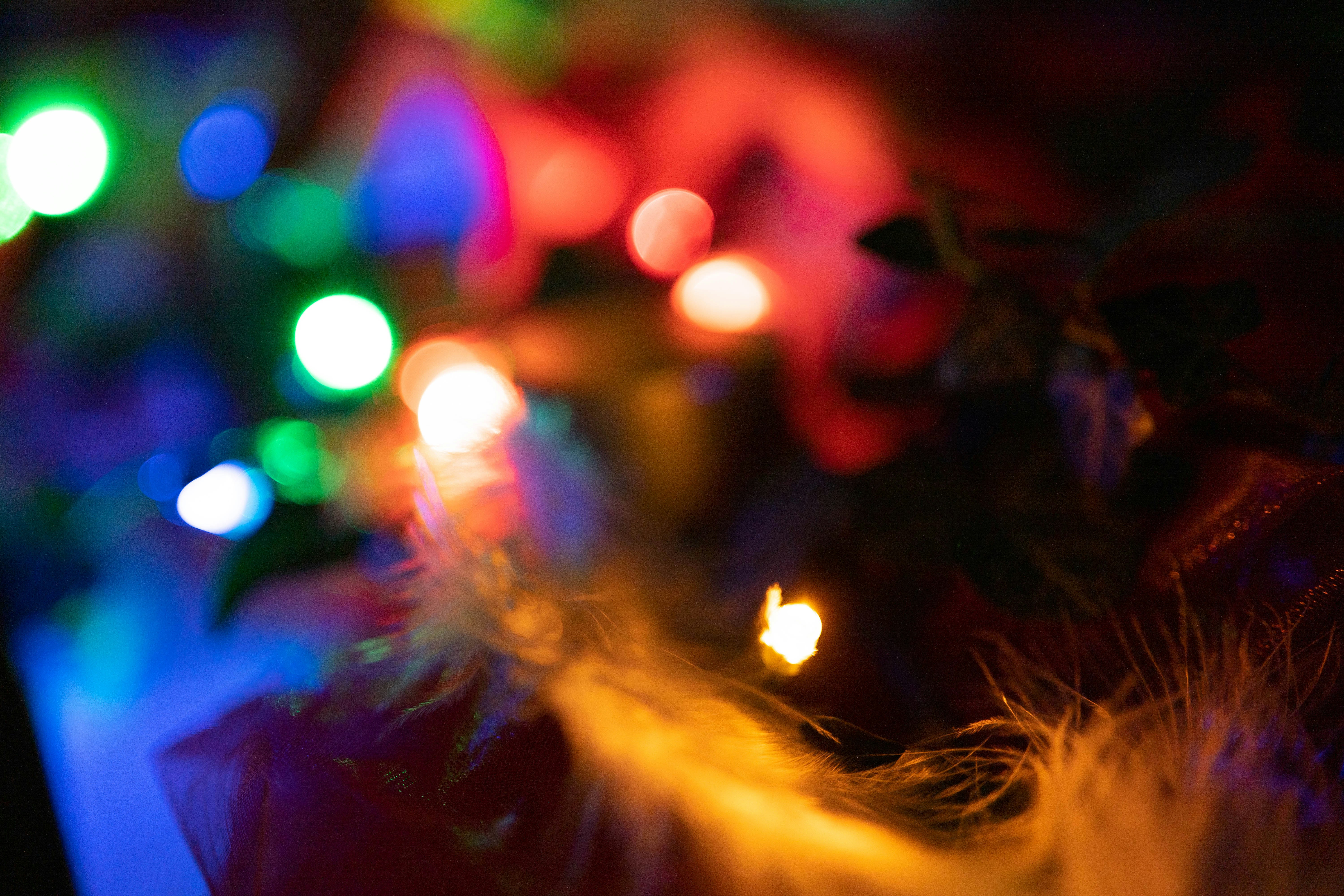 Photo by michelstock