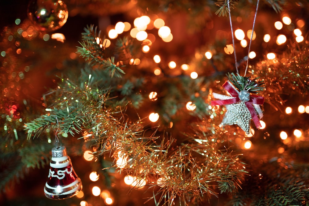 green christmas tree with string lights