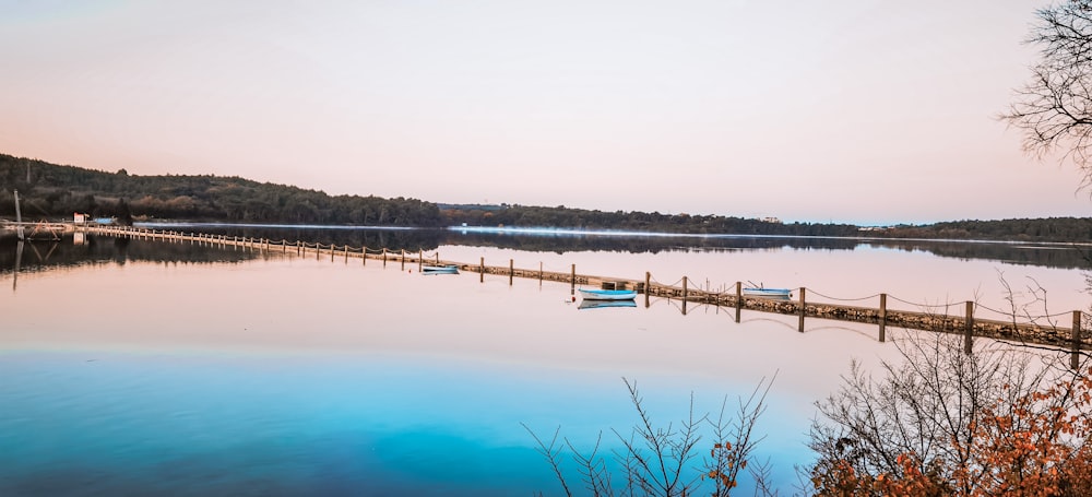 body of water near trees during daytime