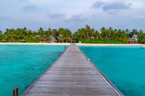 brown wooden dock on blue sea under blue sky during daytime