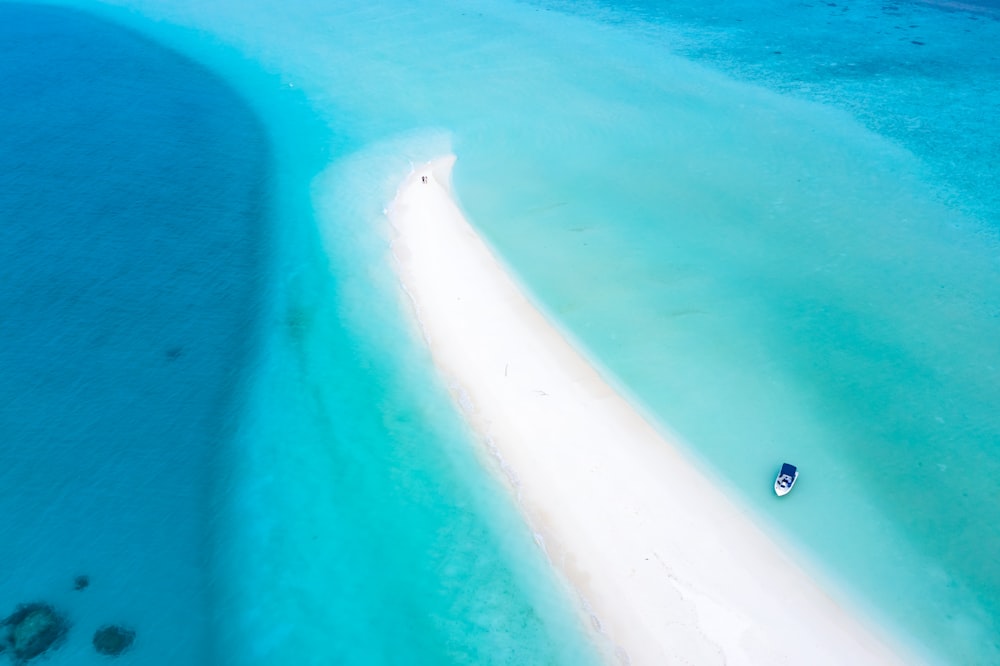 people on beach during daytime