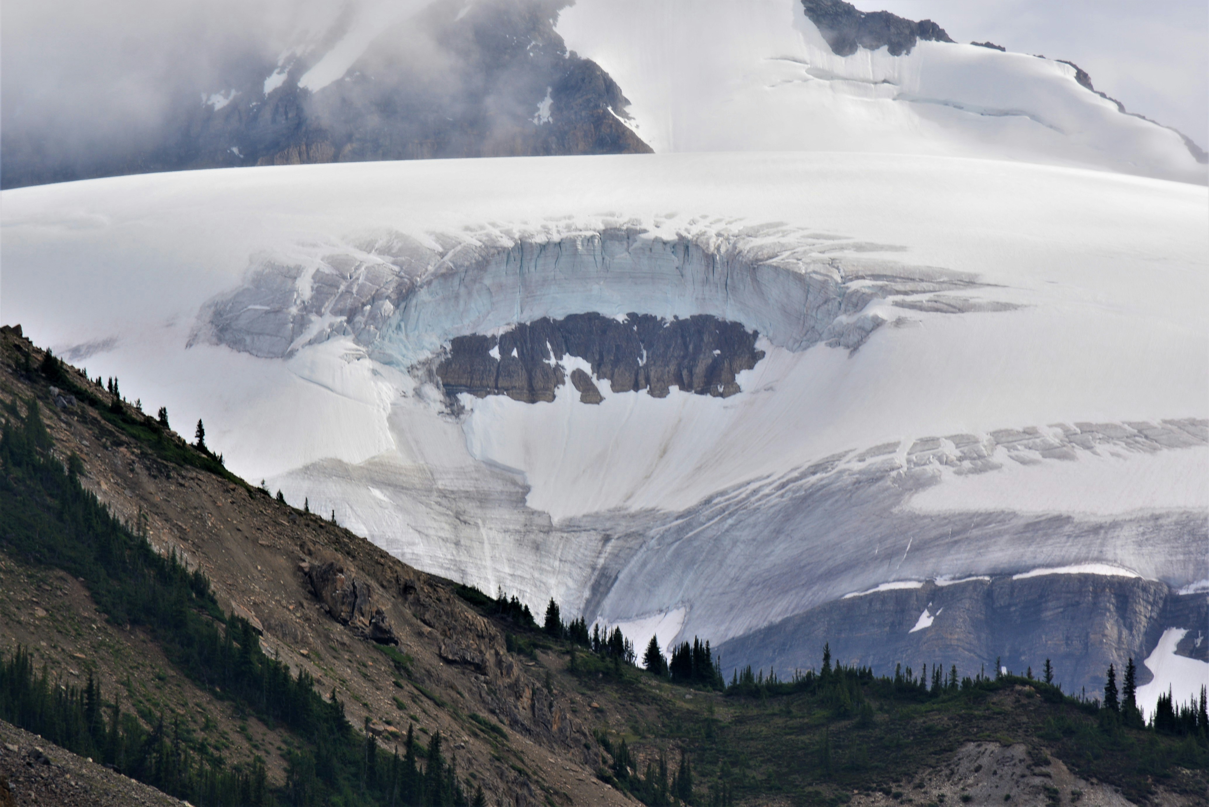 green trees on mountain under white clouds during daytime