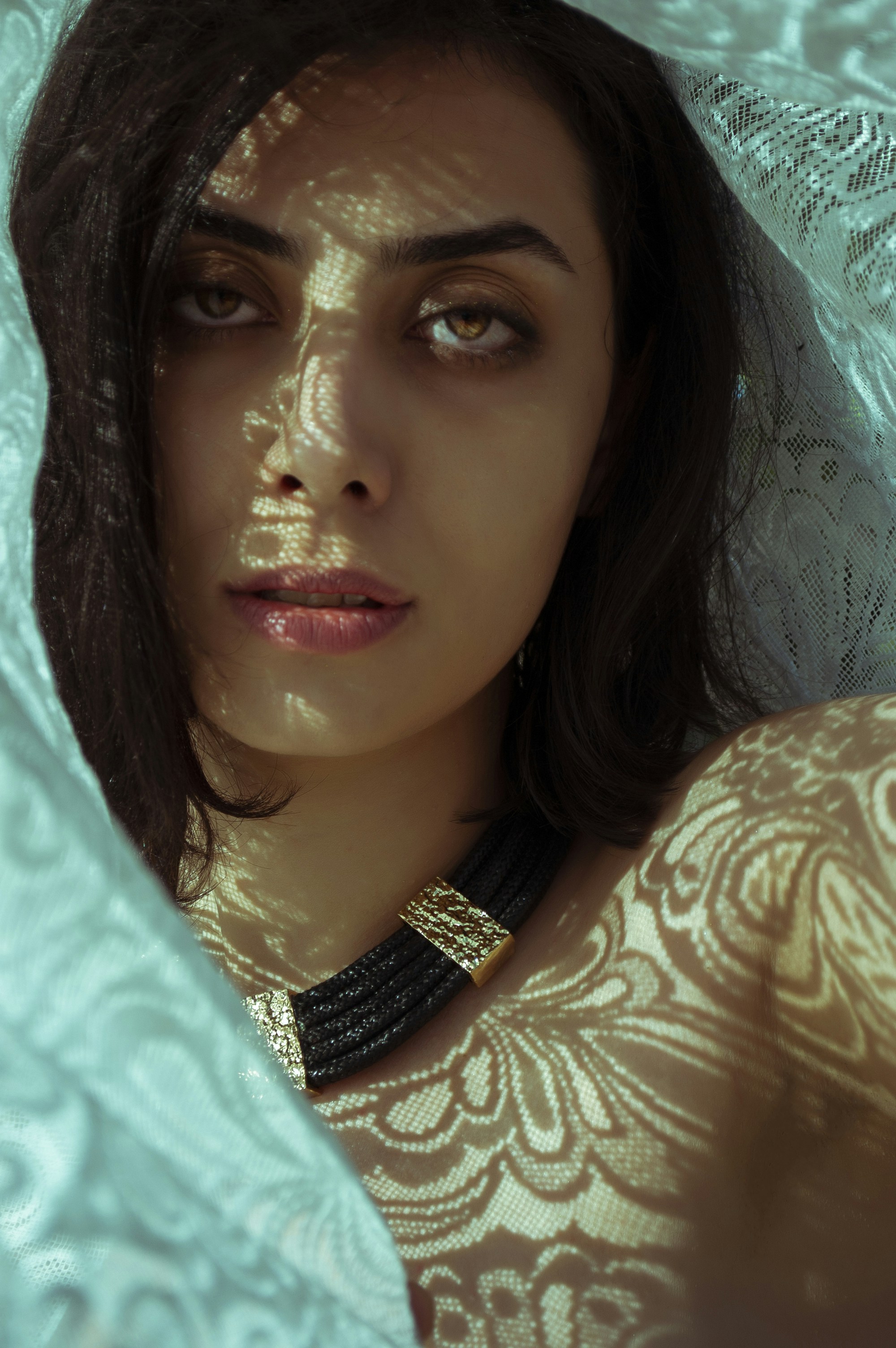 Photo by baranlotfollahi