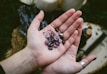 A close-up view of an open hand holding several polished semi-precious stones with purple hues. The stones have various shapes and some feature engraved symbols. The background is blurred and includes items like fabric and bottles.