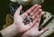 A close-up view of an open hand holding several polished semi-precious stones with purple hues. The stones have various shapes and some feature engraved symbols. The background is blurred and includes items like fabric and bottles.