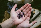 A close-up view of an open hand holding several polished semi-precious stones with purple hues. The stones have various shapes and some feature engraved symbols. The background is blurred and includes items like fabric and bottles.