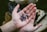 A close-up view of an open hand holding several polished semi-precious stones with purple hues. The stones have various shapes and some feature engraved symbols. The background is blurred and includes items like fabric and bottles.