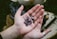 A close-up view of an open hand holding several polished semi-precious stones with purple hues. The stones have various shapes and some feature engraved symbols. The background is blurred and includes items like fabric and bottles.