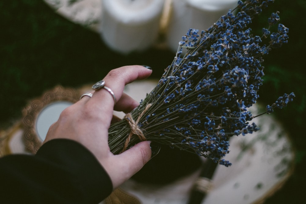 person holding blue and white flowers