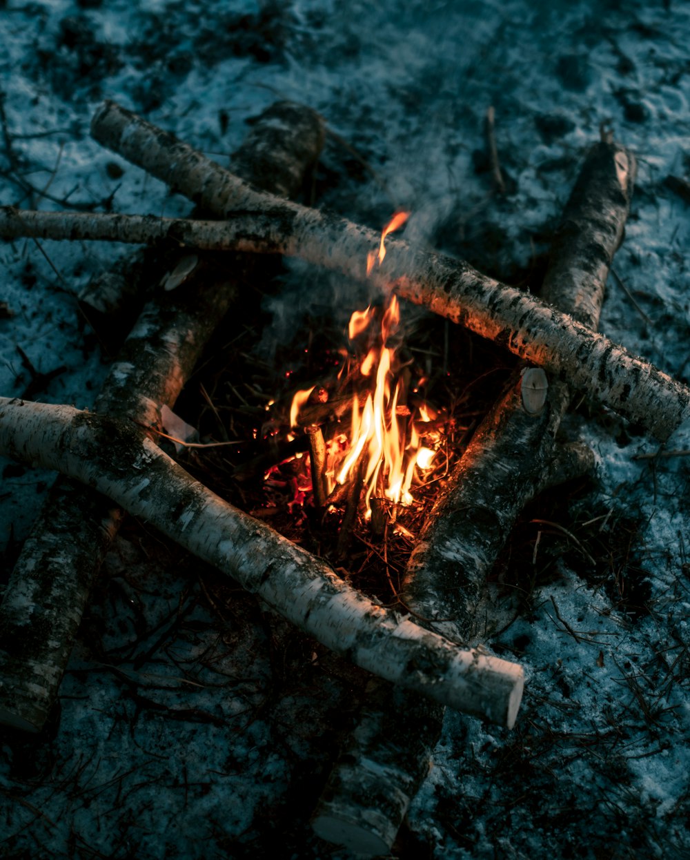 burning wood on fire pit