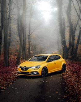Photographe voiture Renault Mégane