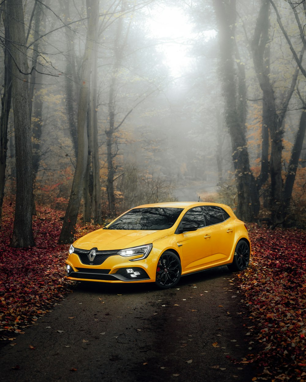 yellow chevrolet camaro on forest