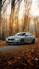 black bmw m 3 coupe parked on forest during daytime