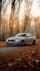black bmw m 3 coupe parked on forest during daytime