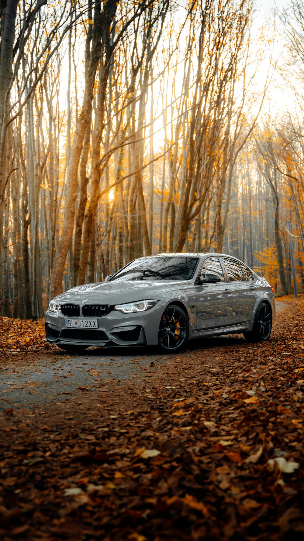 BMW M 3 coupé nera parcheggiata nella foresta durante il giorno