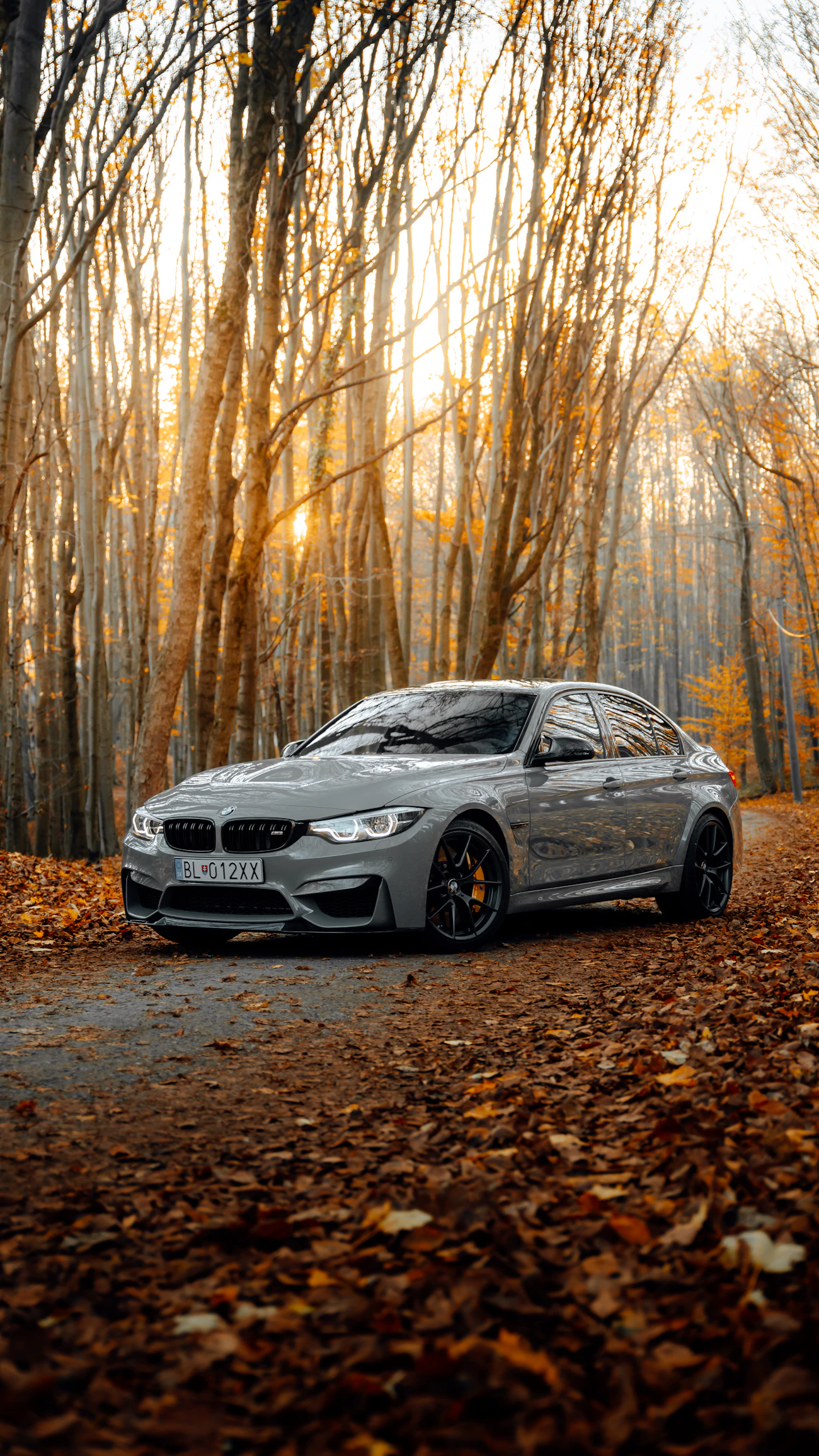 Dark performance car with tinted windows