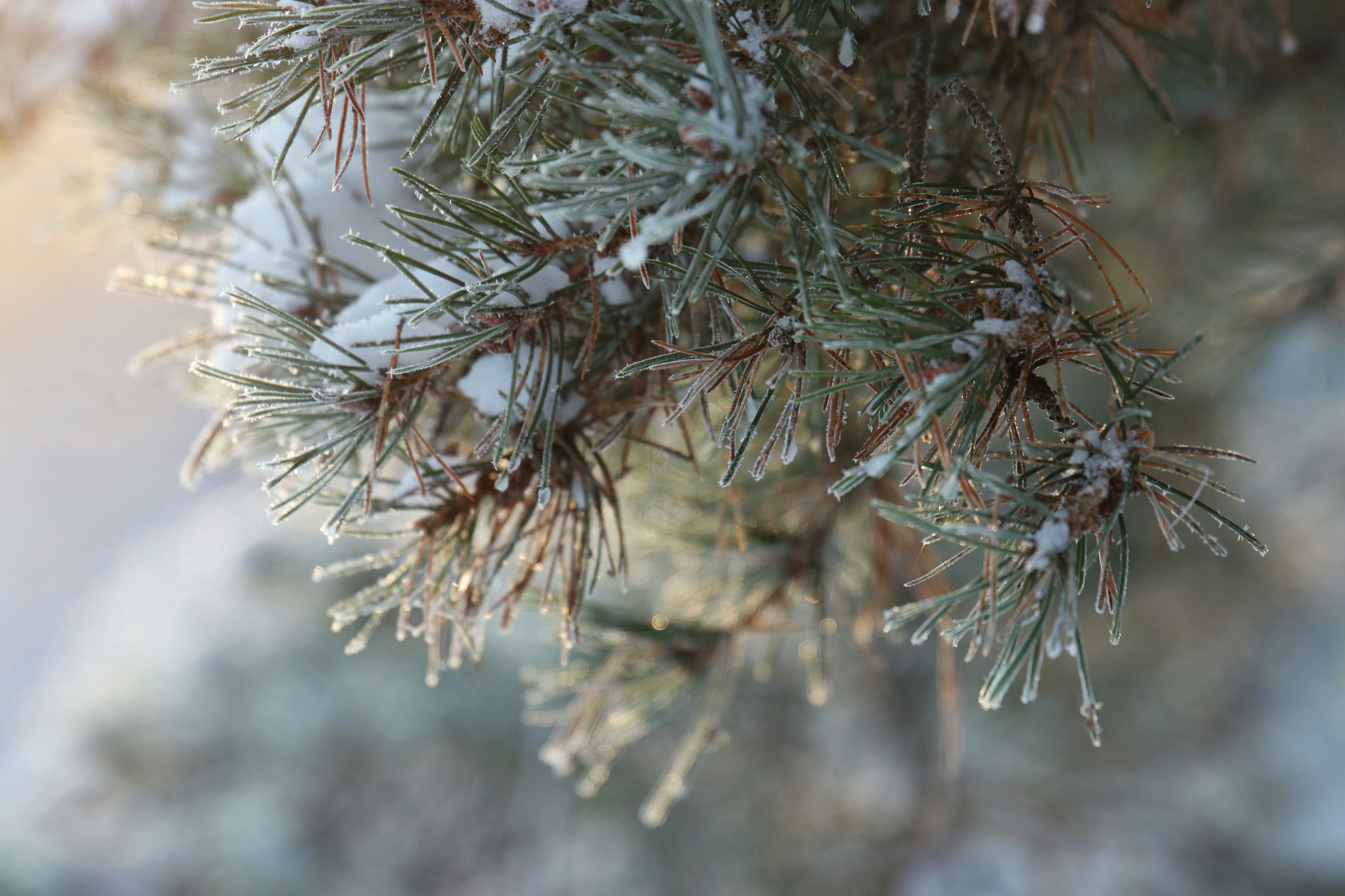 💡 Warp News nyhetsbrev #104