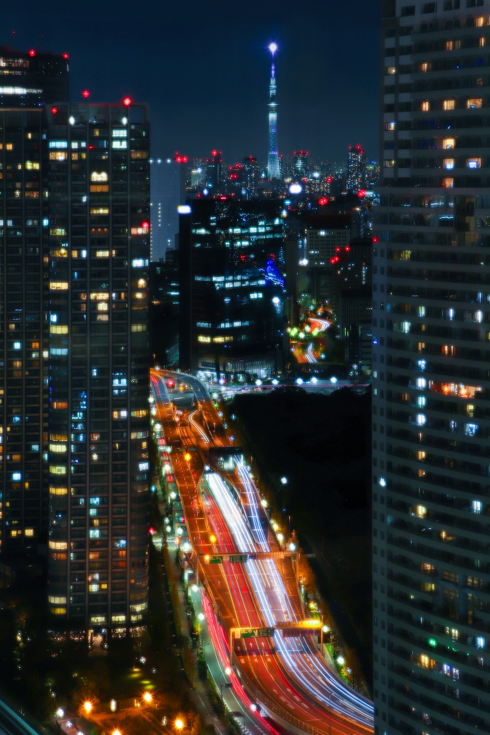 high rise buildings during night time