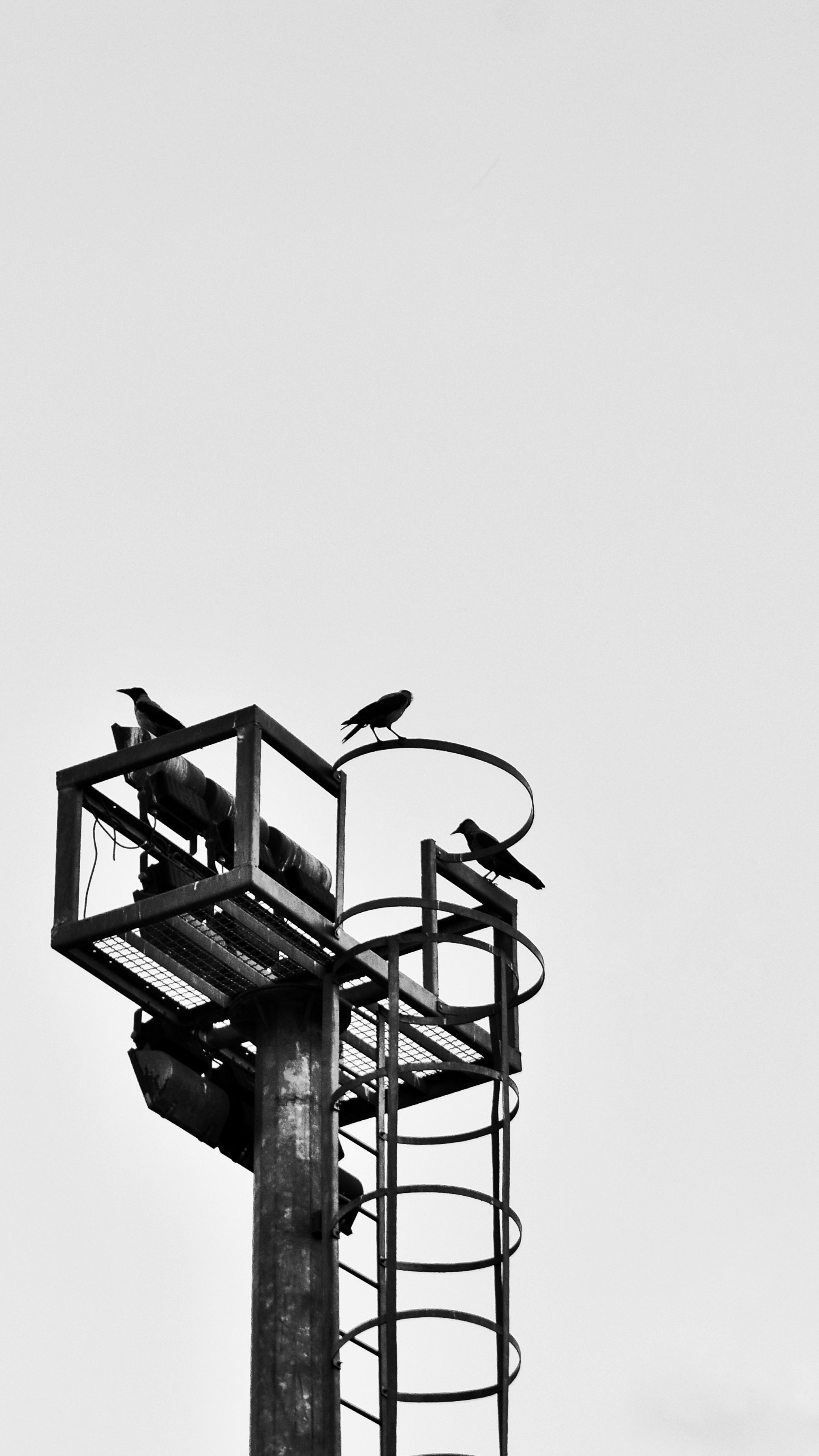 오버헤드 프레스