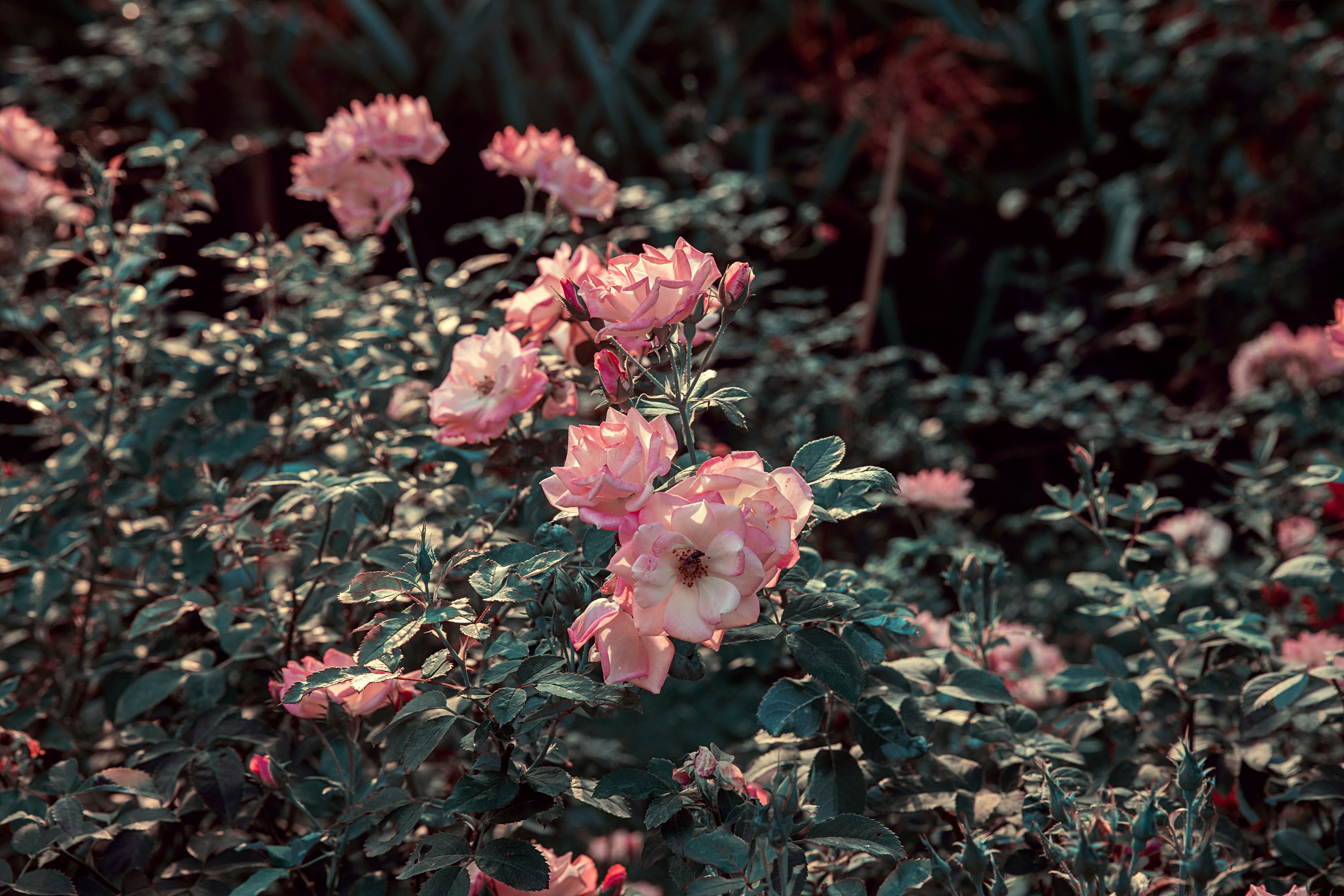 Photo by color0911