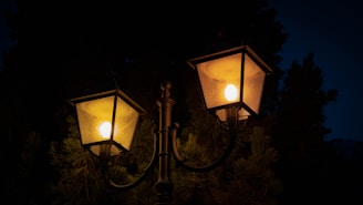Outdoor garden and street lamps casting soft light on a serene evening path.