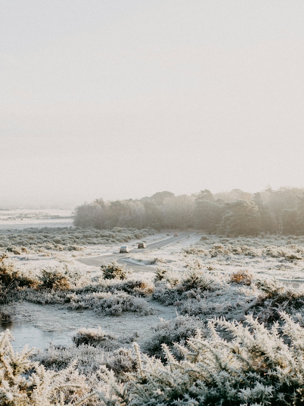 snow covered field during daytime