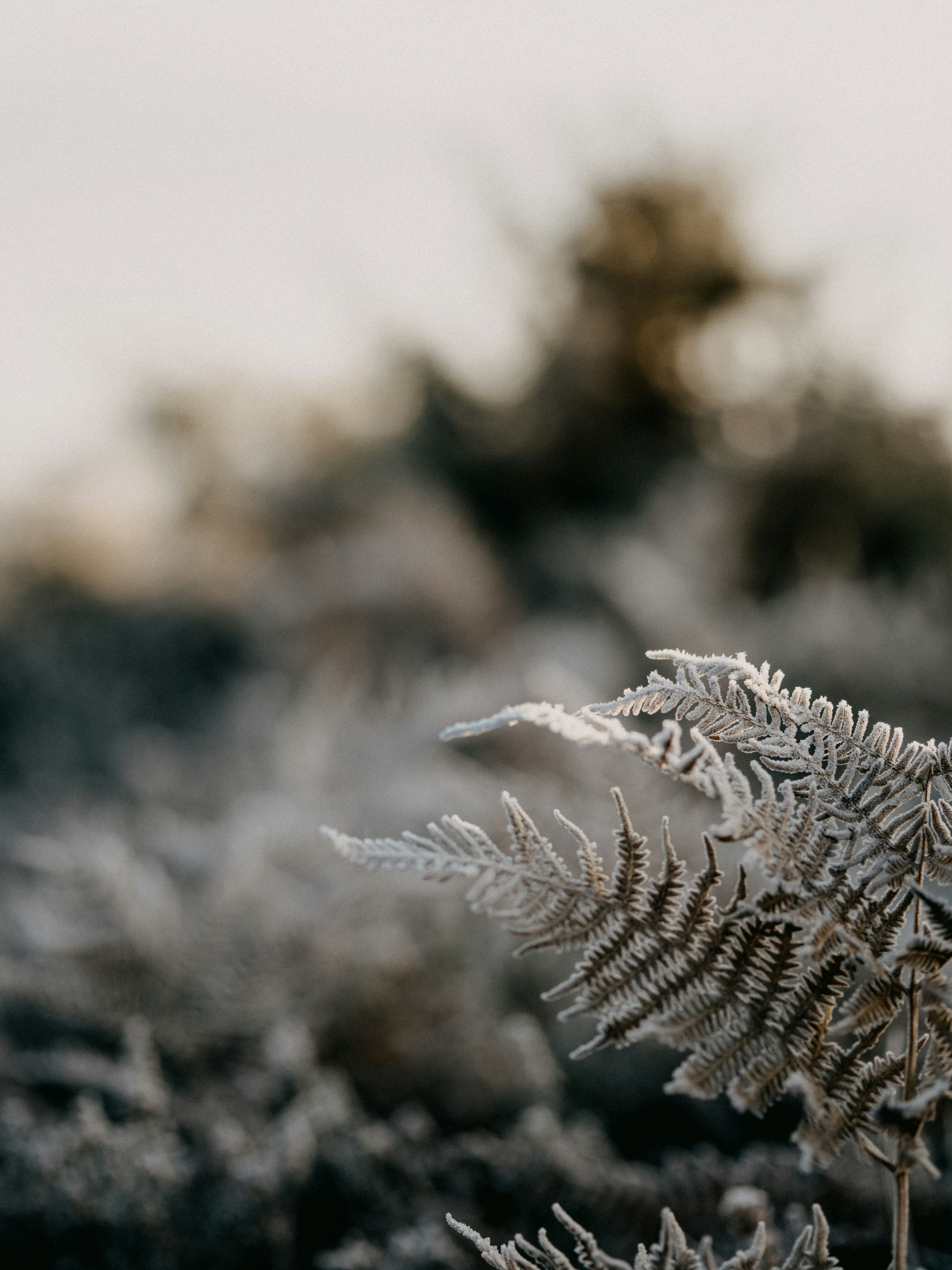 Photo by anniespratt