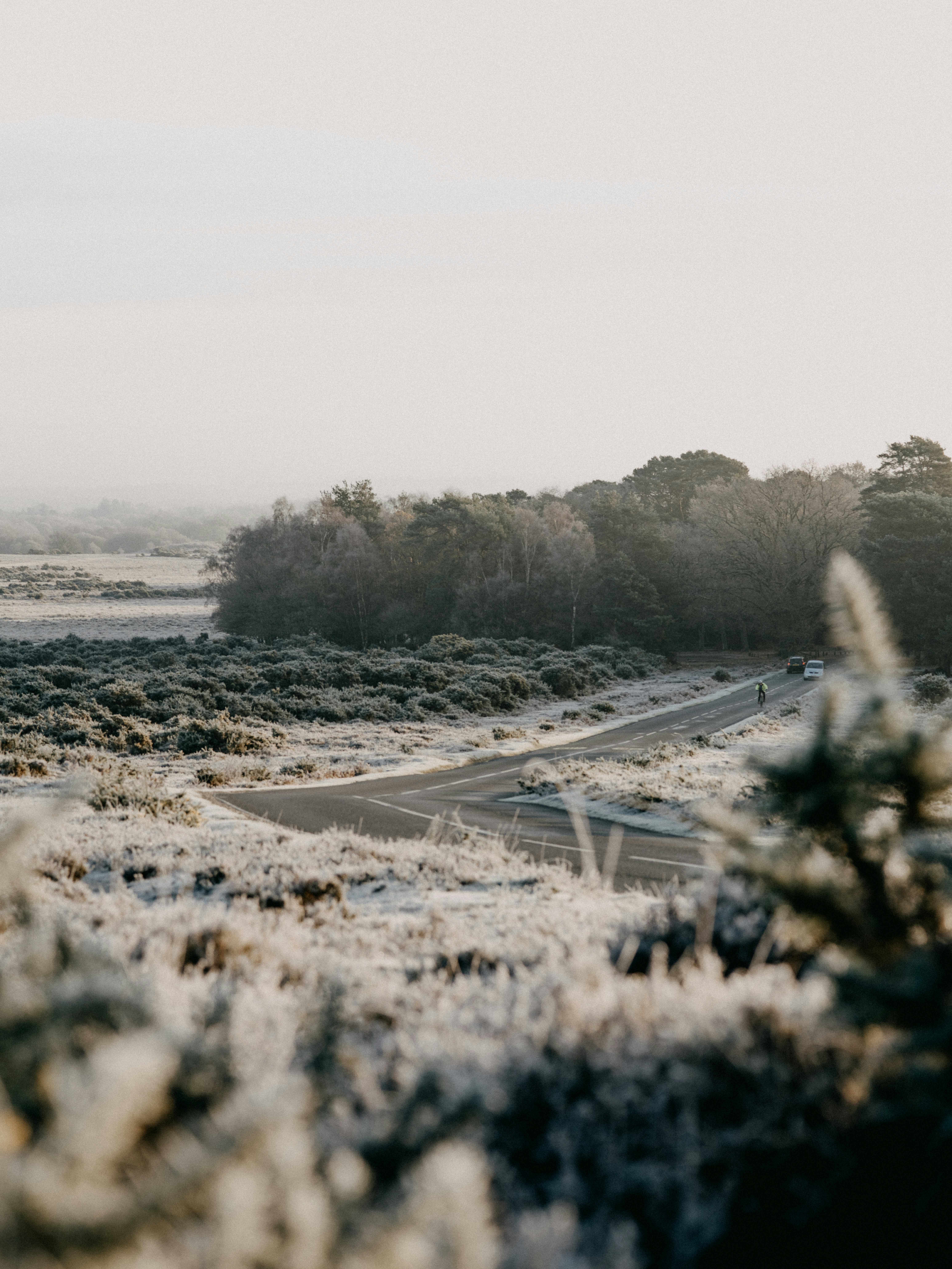 Photo by anniespratt