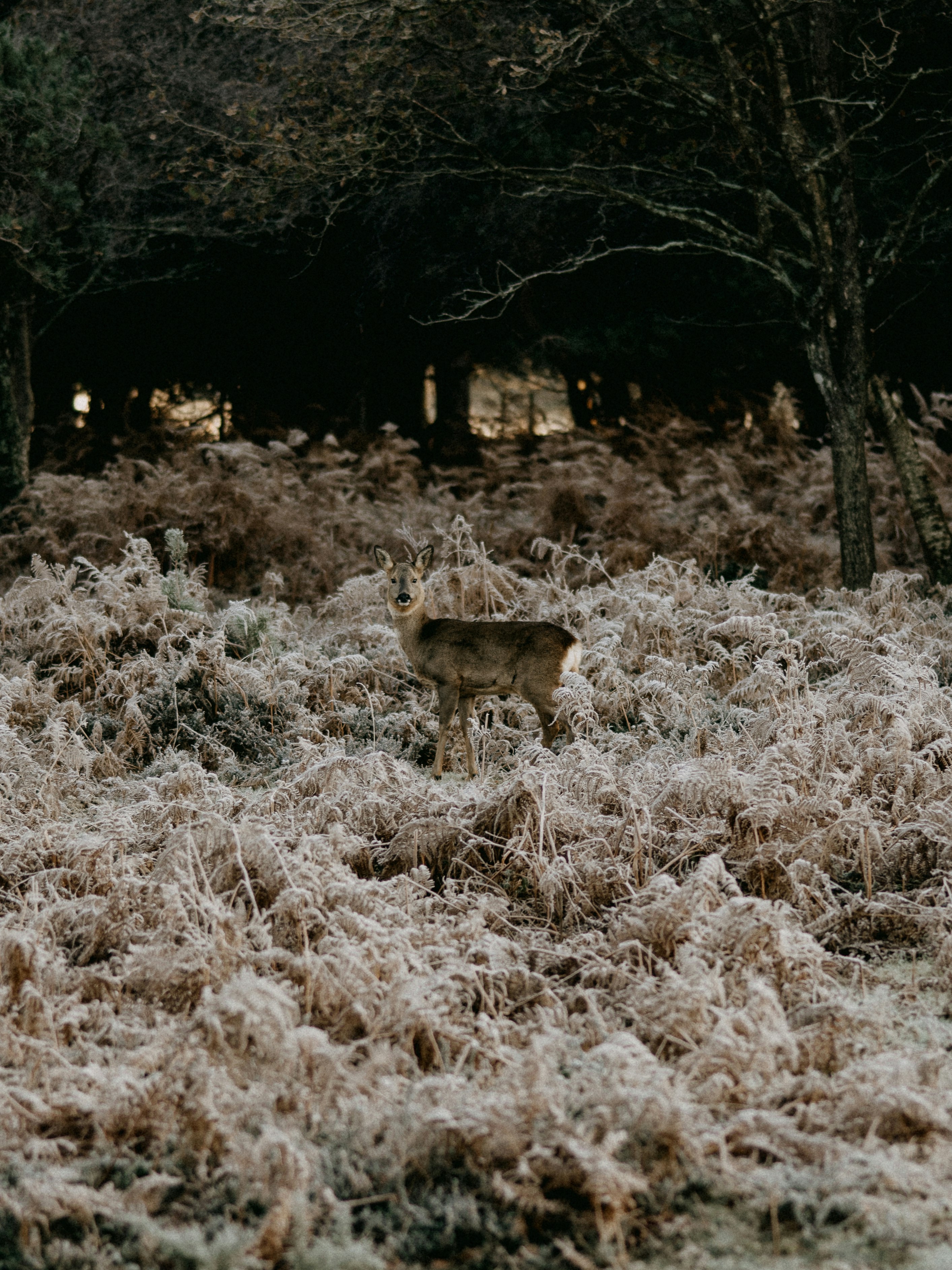 Photo by anniespratt