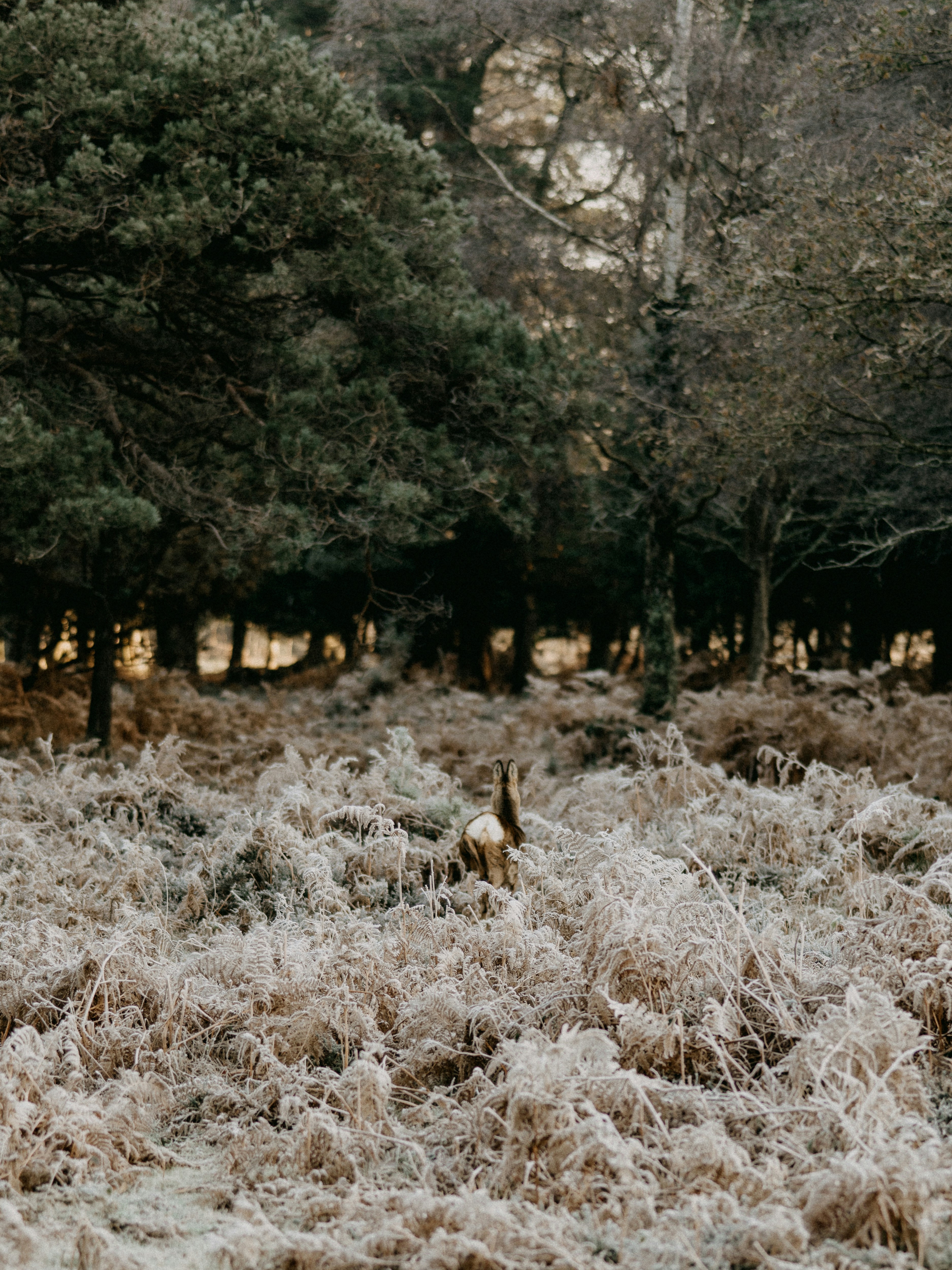 Photo by anniespratt