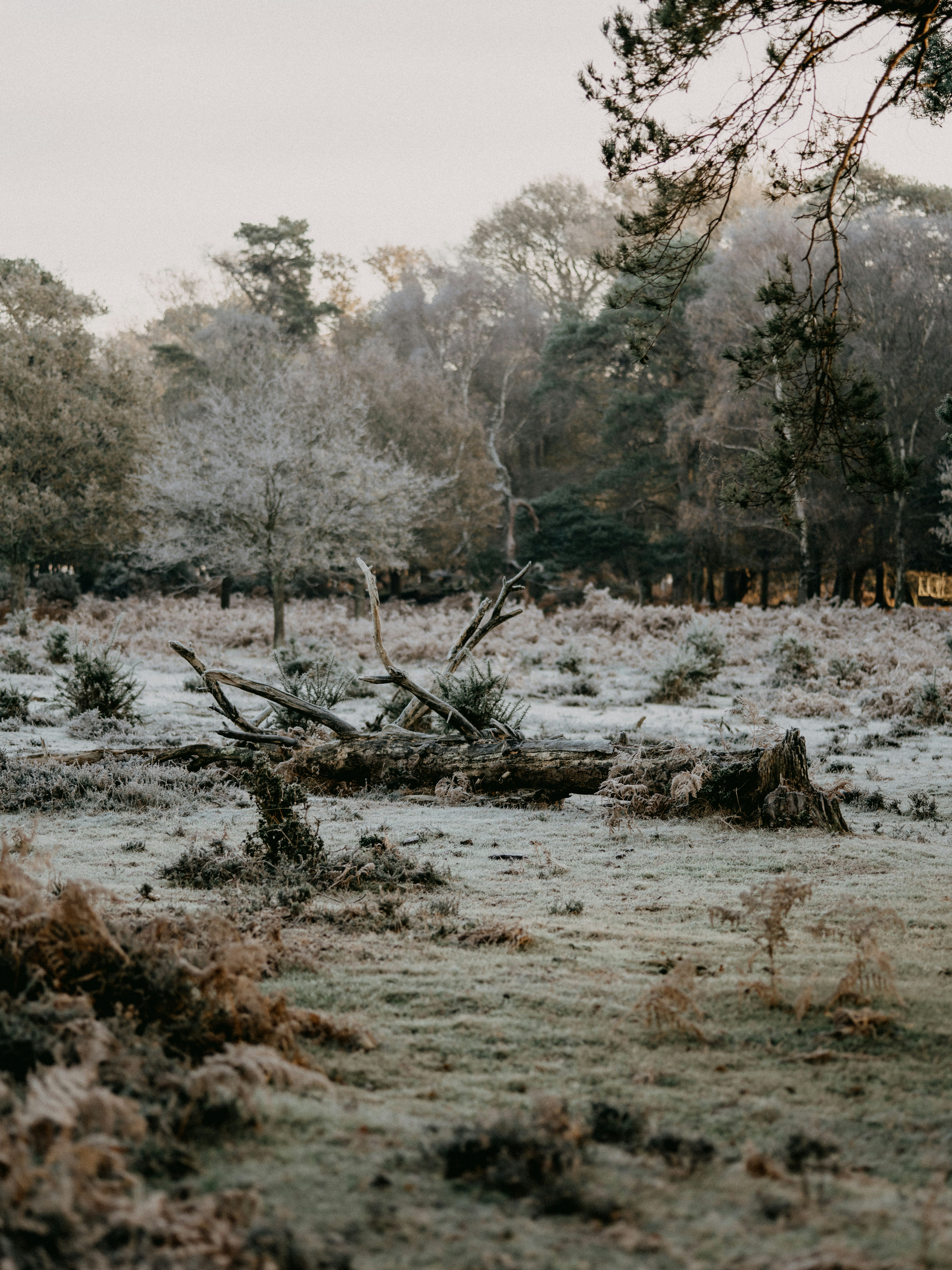 Photo by anniespratt