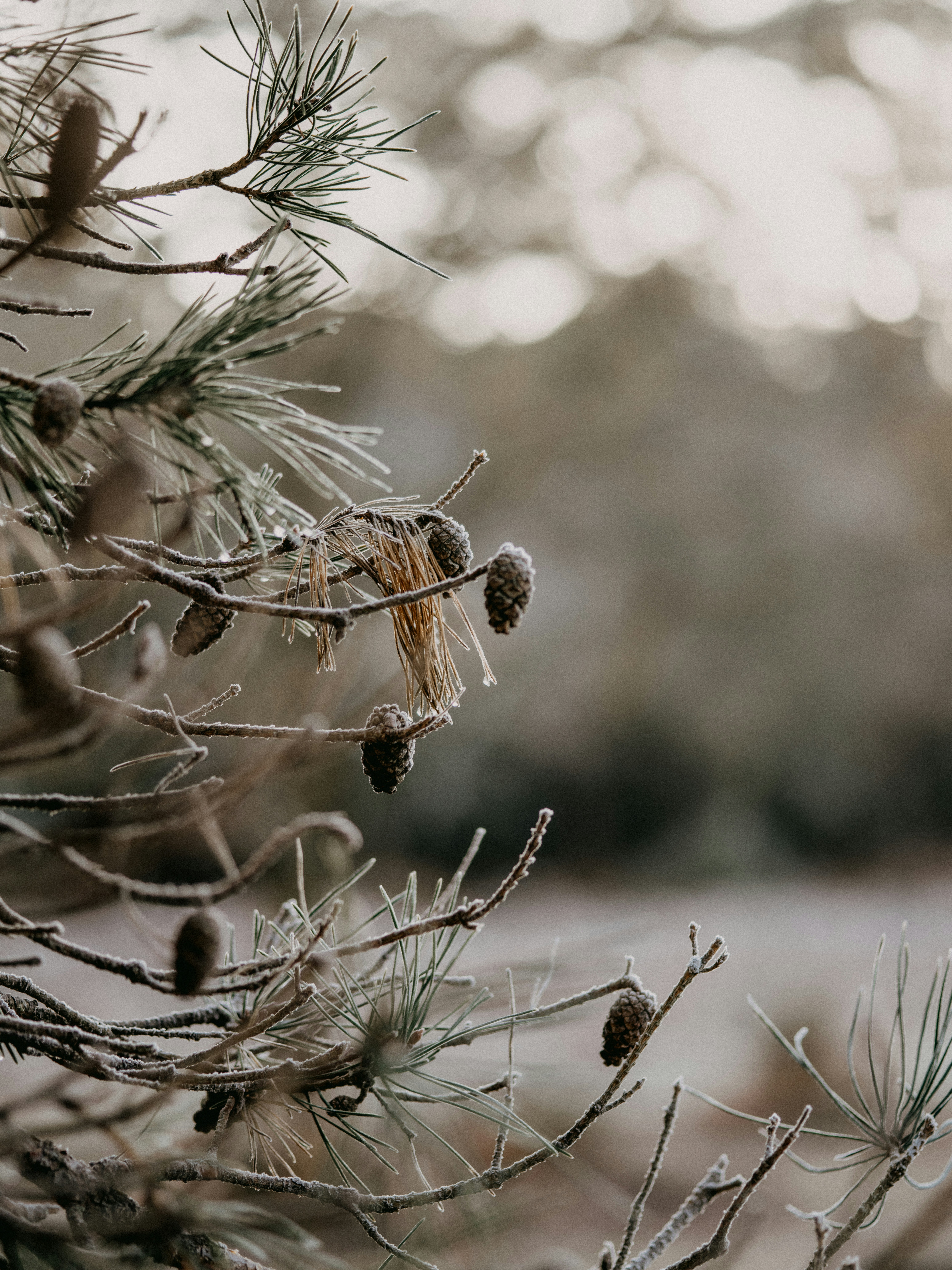 Photo by anniespratt