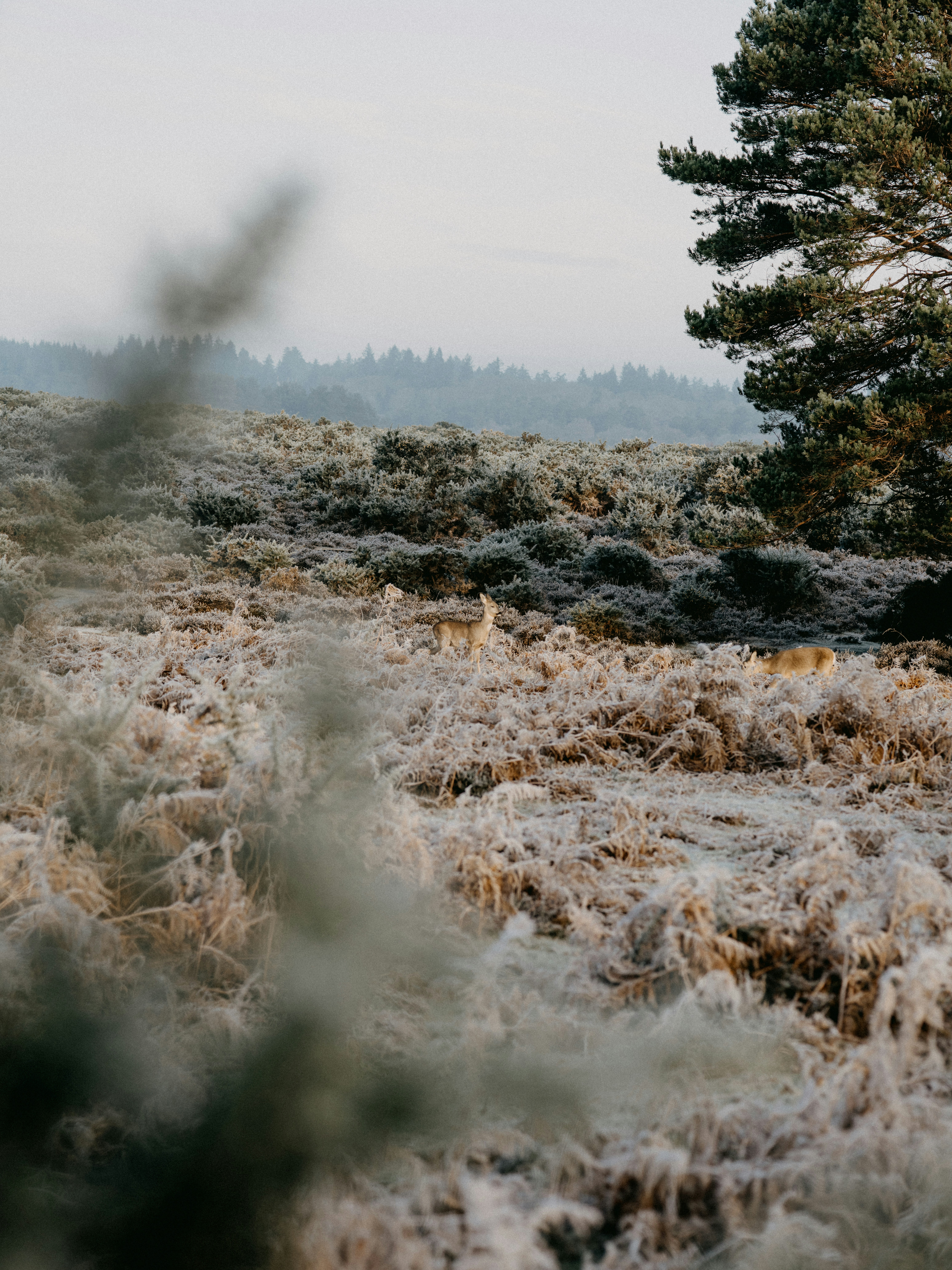 Photo by anniespratt