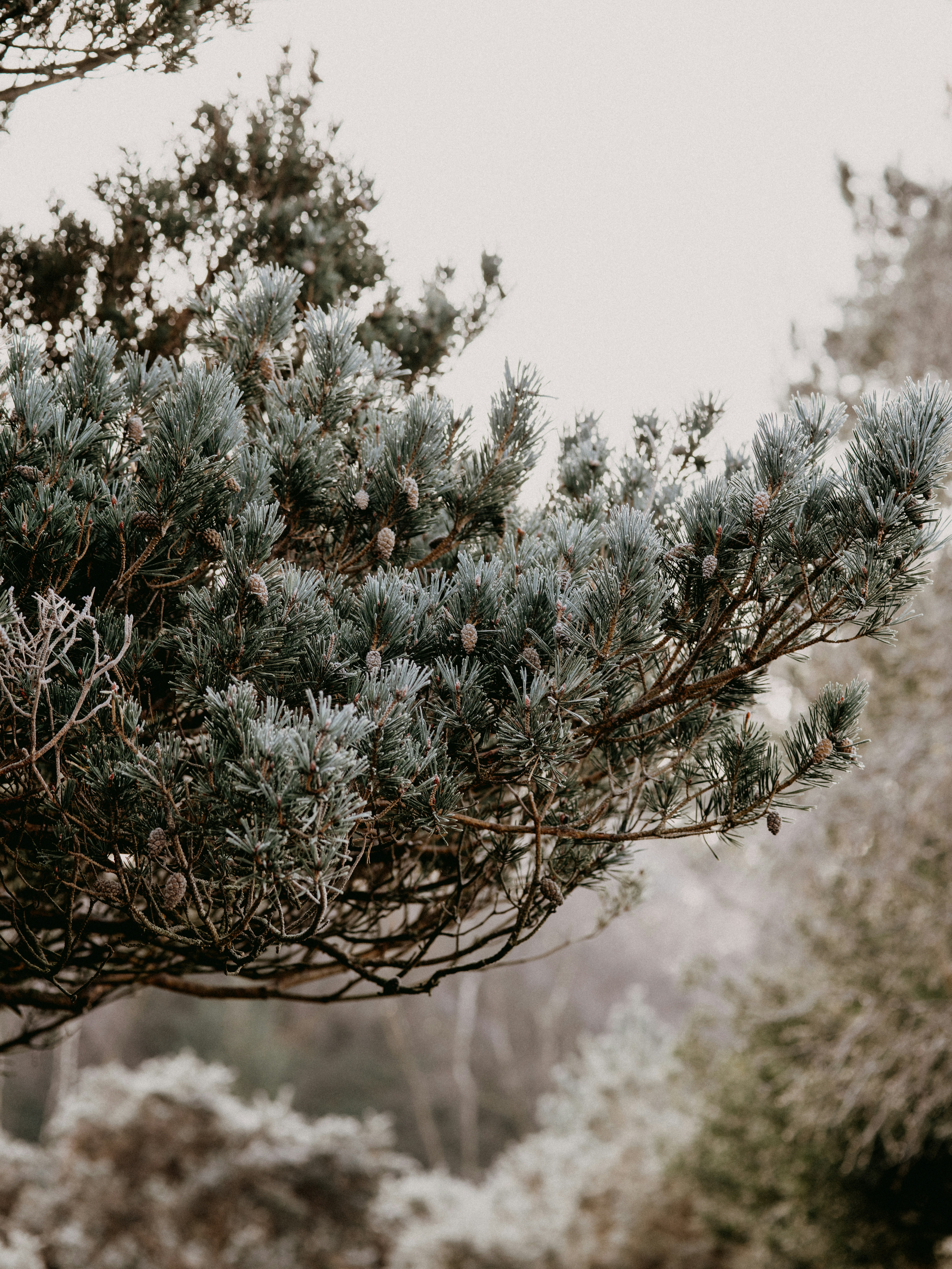Photo by anniespratt