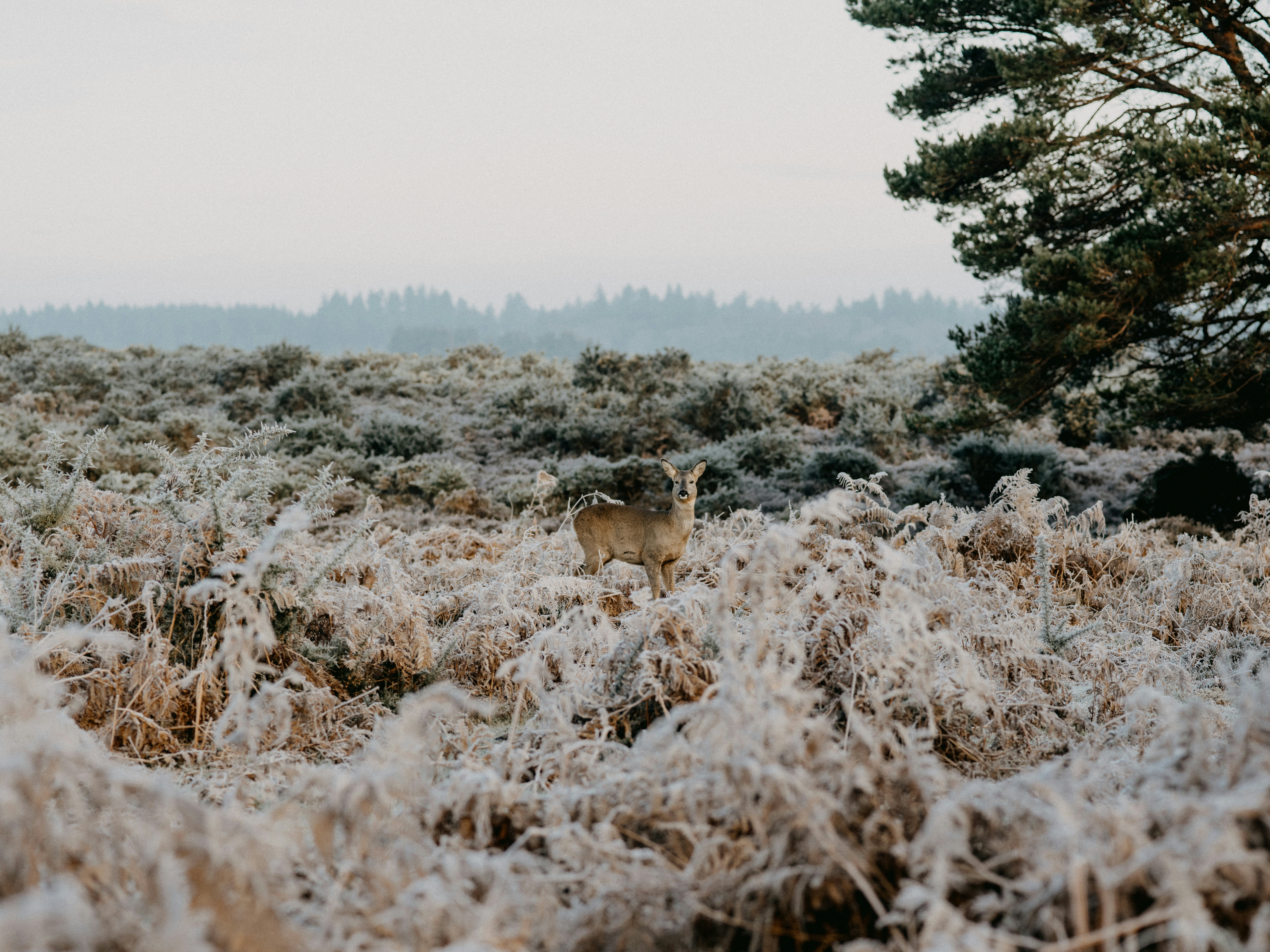 Photo by anniespratt