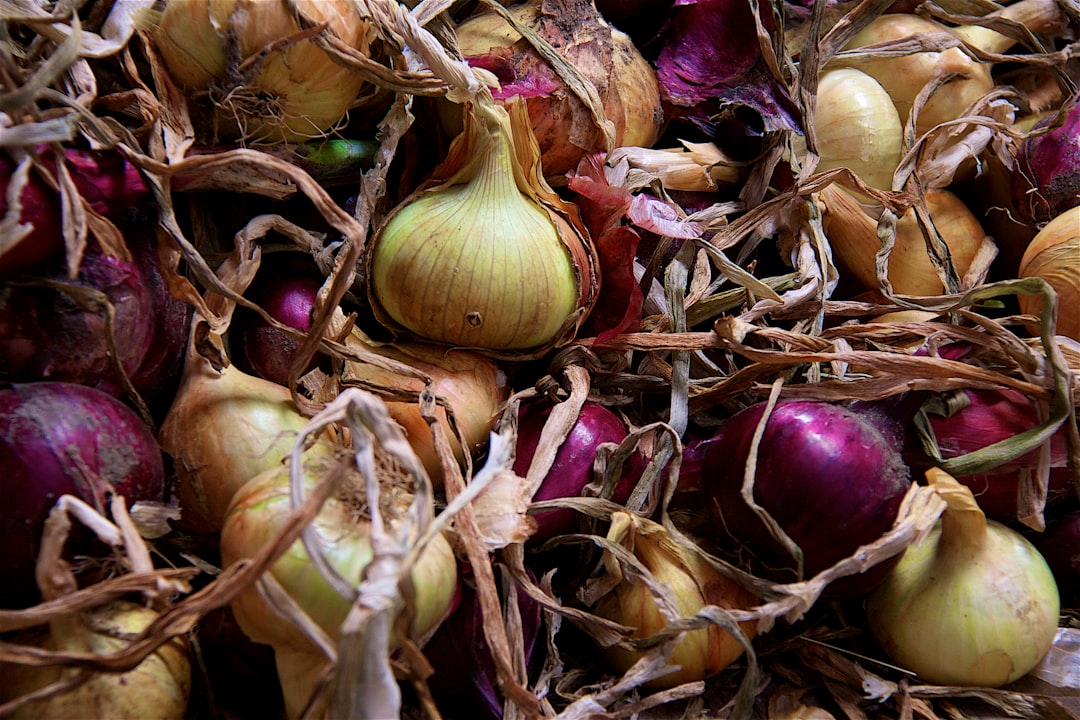 red and white onion bulbs